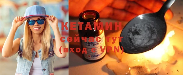 крисы Инта