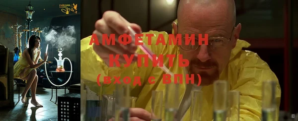 крисы Инта