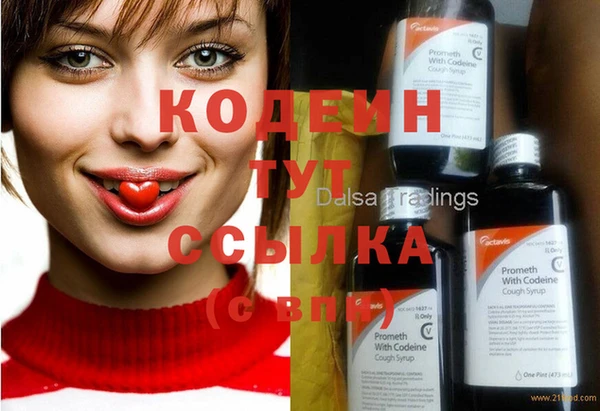 крисы Инта
