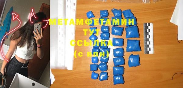 крисы Инта
