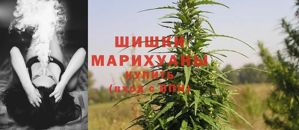 крисы Инта
