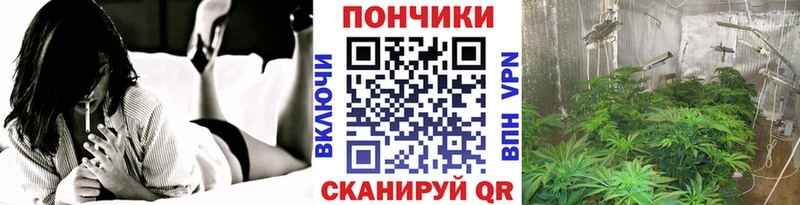 Бошки Шишки семена ссылка на мегу маркетплейс Дзержинский купить наркотики сайты